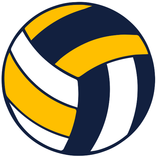 Voleibol